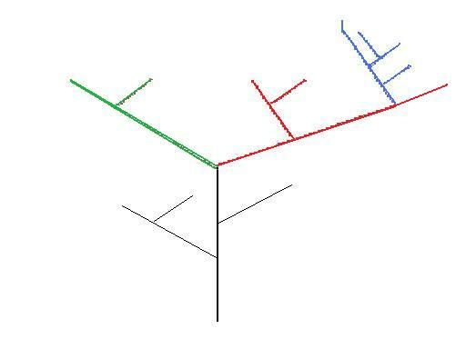 Figure 2 – Theoretical Phylogeny – colours represent genera.