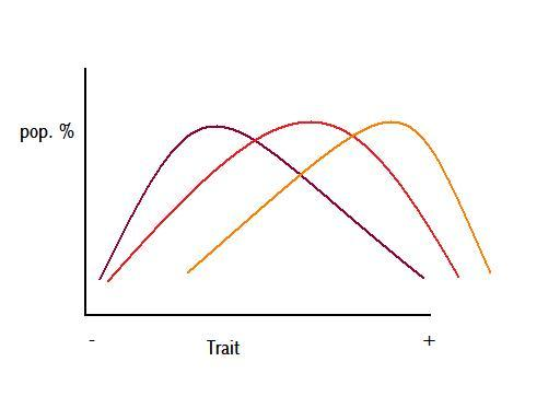 Figure 5 – colours represent different times